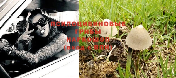 гашик Алзамай