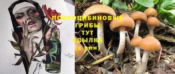 прущая мука Алексин