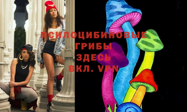 прущая мука Алексин