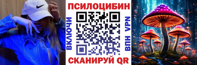 mega онион  Бикин  Галлюциногенные грибы Psilocybe 