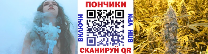 Марихуана Amnesia  купить  сайты  Бикин 